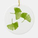 Suche nach ginkgo ornamente Blätter