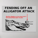 Suche nach alligator poster Humorvoll