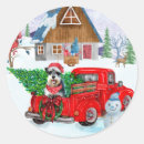 Suche nach hunde des schnauzer aufkleber Weihnachten