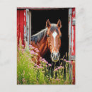 Suche nach rustikale tür postkarten Jede person