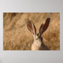 Suche nach ears poster Animal
