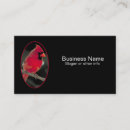 Suche nach singvogel visitenkarten Wildvogel