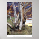Suche nach toter baum poster Foto