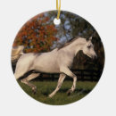 Suche nach arabische pferde ornamente Laufen