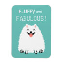 Suche nach fein magnete Hund