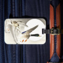 Suche nach enten gepäckanhänger Tier