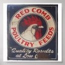 Suche nach poultry poster Vintage