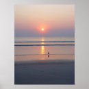 Suche nach seemöwen alle poster Sonnenaufgang