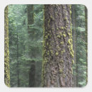 Suche nach riesen riesen aufkleber Baum