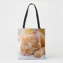 Suche nach sleeping taschen Katze