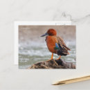 Suche nach aquamarin postkarten Naturfotografie