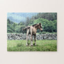 Suche nach fohlen puzzle Ponys