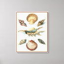 Suche nach seashell leinwandbilder Strand