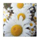 Suche nach weiße gänseblümchen untersetzer Sommer