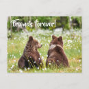 Suche nach freunde für immer postkarten Für alle