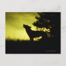 Suche nach heulen postkarten Tierjagd
