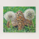 Suche nach boxen puzzle Haustiere