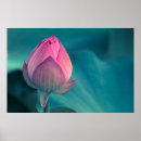Suche nach ostasien poster Botanik
