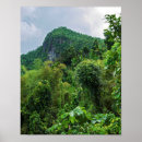 Suche nach el yunque poster Landschaft