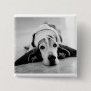 Suche nach gemeinnützig buttons Hund