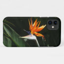 Suche nach tropischer vogel iphone hüllen Jede person