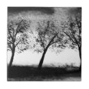 Suche nach bäume fliesen Aquarell