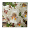 Suche nach indische fliesen Keramik