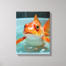 Suche nach lustige fische leinwandbilder Spaß