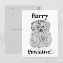 Suche nach lustige welpen postkarten Für sie