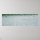 Suche nach lebendes wasser poster Enten