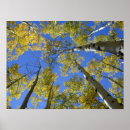 Suche nach esp poster Baum