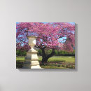 Suche nach blossom leinwandbilder Fotografie