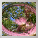 Suche nach rosa himmel poster Blume