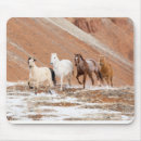 Suche nach kleines pferd mousepads Ranch