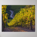 Suche nach adelaide poster Landschaft