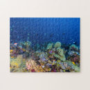 Suche nach great barrier reef puzzle Koralle
