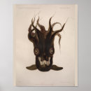 Suche nach vampir poster Schwarz