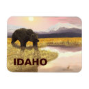 Suche nach grizzly magnete Natur