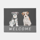 Suche nach niedlicher schnauzer Hunde