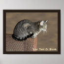 Suche nach katze kunst Tabelle