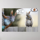 Suche nach nüsse poster Eichhörnchen