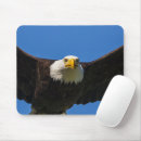 Suche nach weißkopfseeadler mousepads Haliaeetus leucocephalus