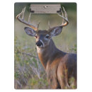 Suche nach kamera klemmbrett Tag