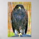 Suche nach vogel fotos poster Wild lebende tiere