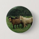 Suche nach mustang buttons Wild