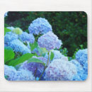 Suche nach hydrangea mousepads Mausunterlage
