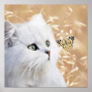 Suche nach weißes kätzchen poster Jede person