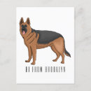 Suche nach deutscher schaferhund postkarten Alsatisch