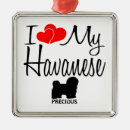 Suche nach havanese ornamente Havanisch
