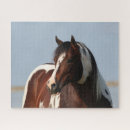 Suche nach paint horse puzzle Rasse